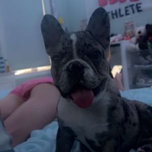 Meet your Posher, Riley